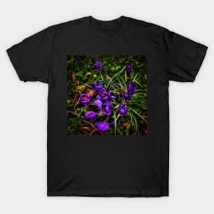 Crocus Flowers T-Shirt